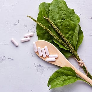 naturopathy naturopathy